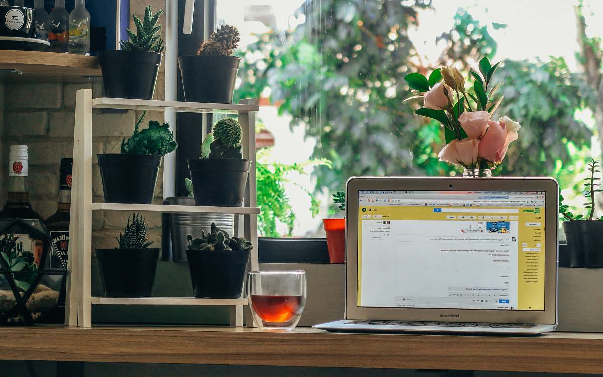 plant MacBook Air turned on beside clear rocks glass with liquor on brown table flora